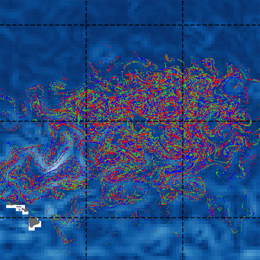 Lagrangian microbes dynamics