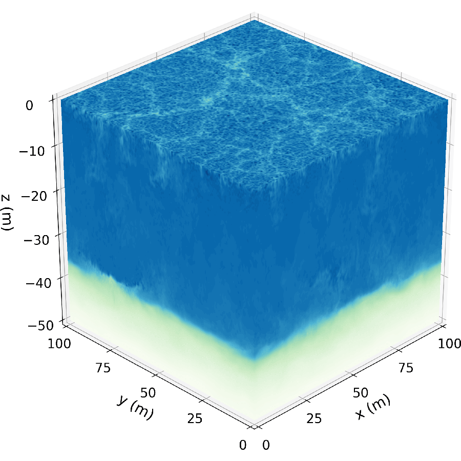 Free convection simulation