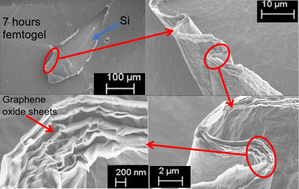 Graphene oxide gel SEM